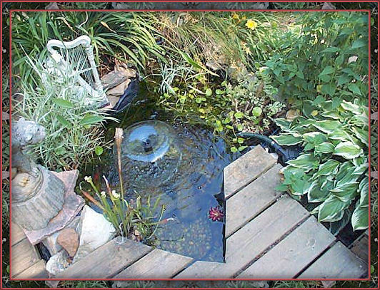 Closeup of pond