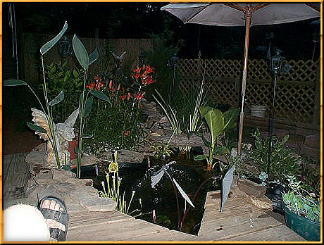 Pond at night