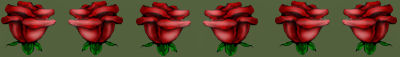 Red Rose Dragon Line